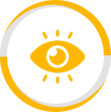 MIESCOR Vision Icon